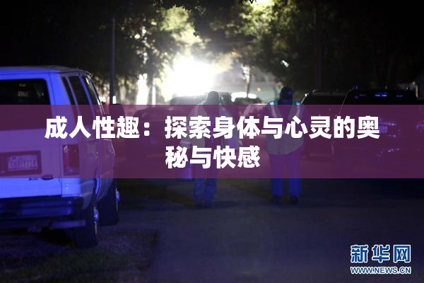 成人性趣：探索身体与心灵的奥秘与快感