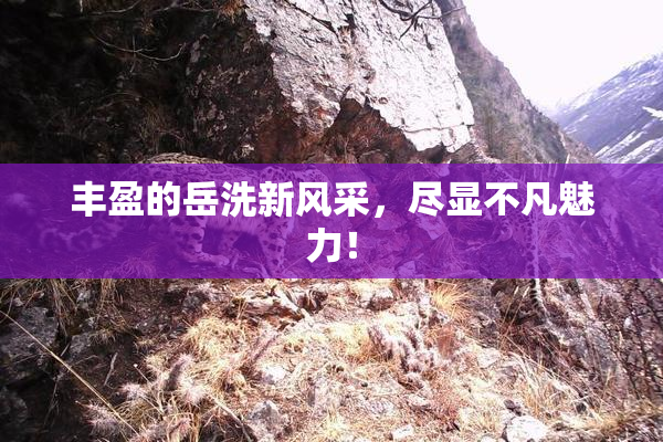 丰盈的岳洗新风采，尽显不凡魅力！