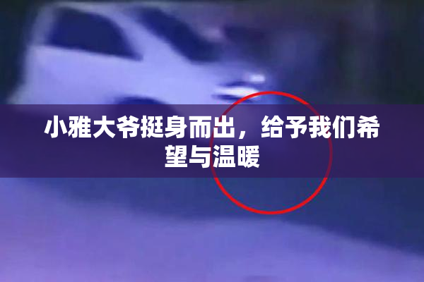 小雅大爷挺身而出，给予我们希望与温暖