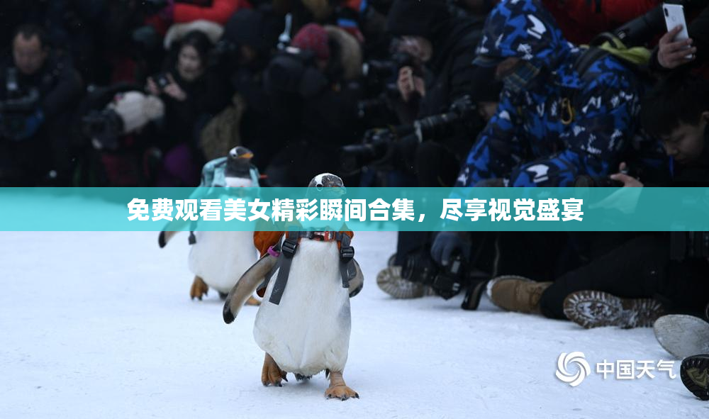 免费观看美女精彩瞬间合集，尽享视觉盛宴