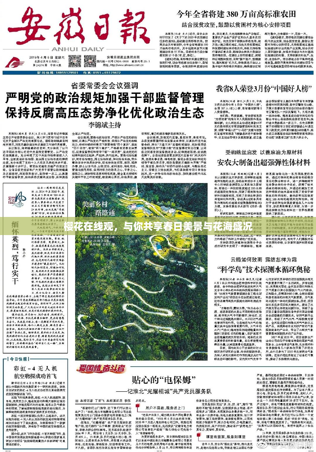樱花在线观，与你共享春日美景与花海盛况