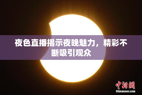 夜色直播揭示夜晚魅力，精彩不断吸引观众