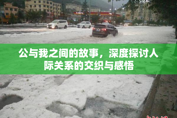公与我之间的故事，深度探讨人际关系的交织与感悟