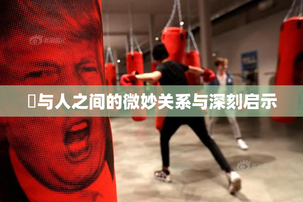 嘼与人之间的微妙关系与深刻启示