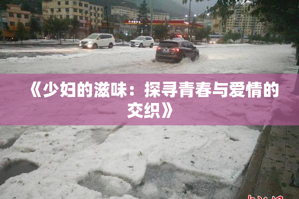 《少妇的滋味：探寻青春与爱情的交织》