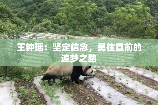 王钟瑶：坚定信念，勇往直前的追梦之路