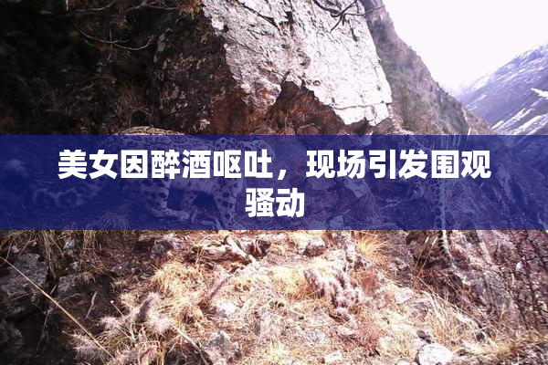 美女因醉酒呕吐，现场引发围观骚动