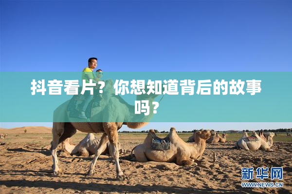 抖音看片？你想知道背后的故事吗？