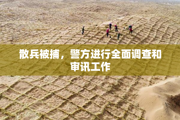 散兵被捕，警方进行全面调查和审讯工作