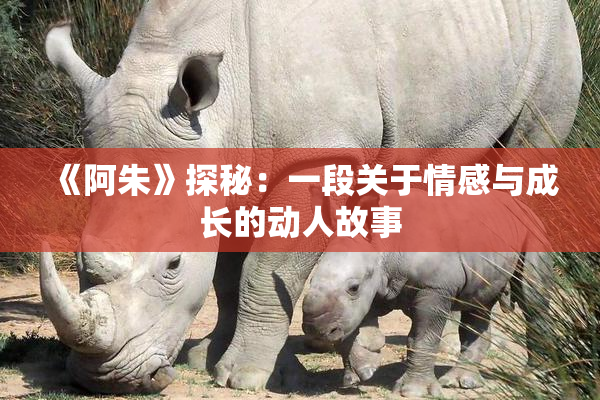 《阿朱》探秘：一段关于情感与成长的动人故事