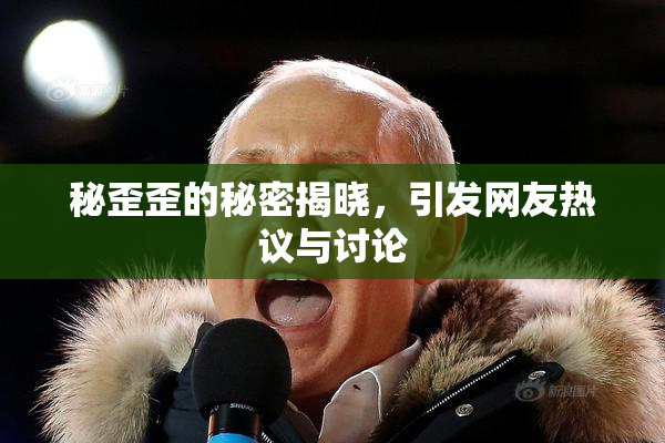 秘歪歪的秘密揭晓，引发网友热议与讨论