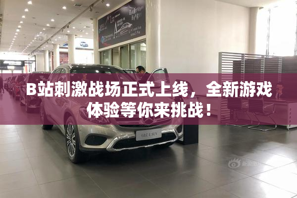 B站刺激战场正式上线，全新游戏体验等你来挑战！