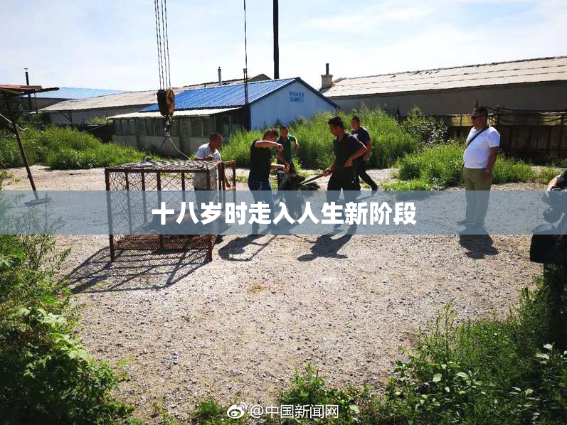 十八岁时走入人生新阶段