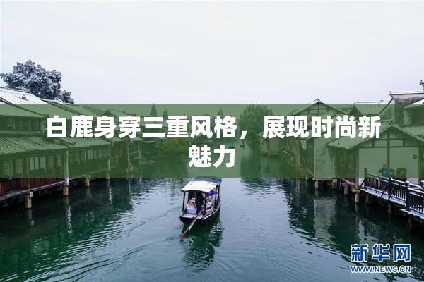 白鹿身穿三重风格，展现时尚新魅力