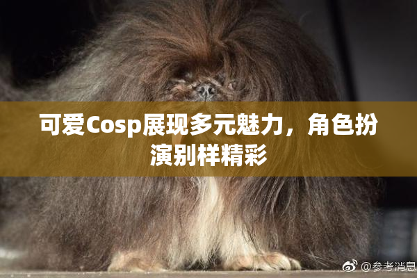 可爱Cosp展现多元魅力，角色扮演别样精彩