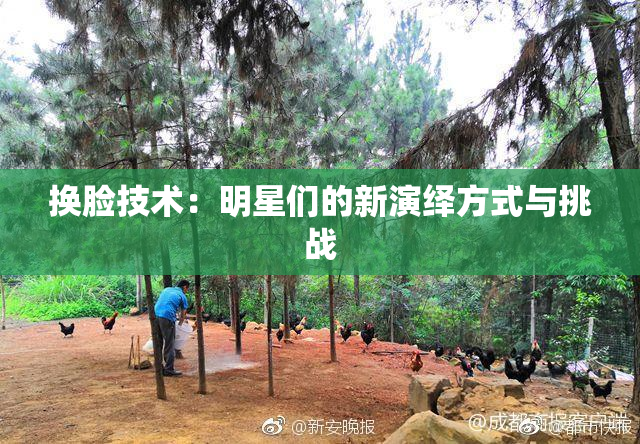 换脸技术：明星们的新演绎方式与挑战