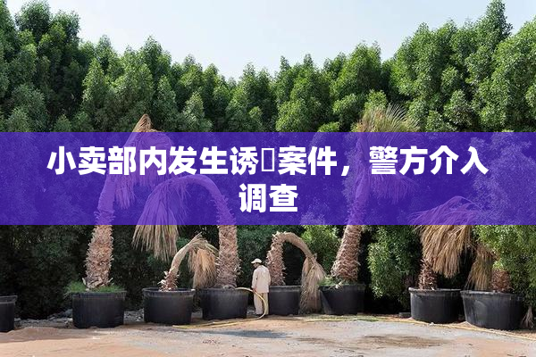 小卖部内发生诱奷案件，警方介入调查