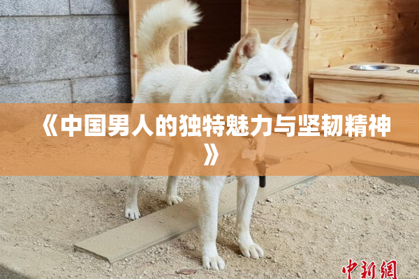 《中国男人的独特魅力与坚韧精神》