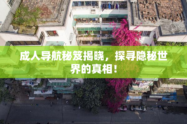 成人导航秘笈揭晓，探寻隐秘世界的真相！