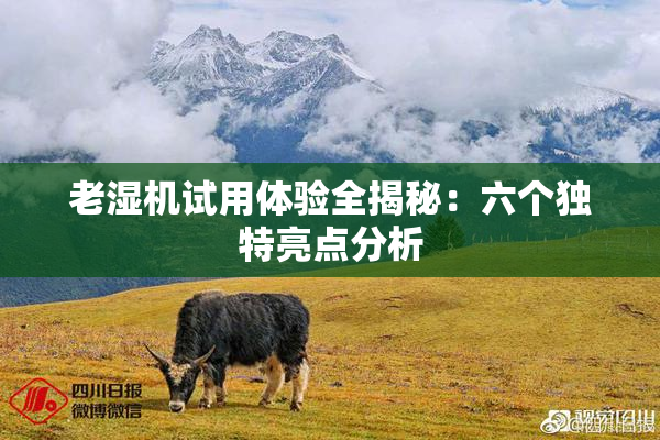 老湿机试用体验全揭秘：六个独特亮点分析
