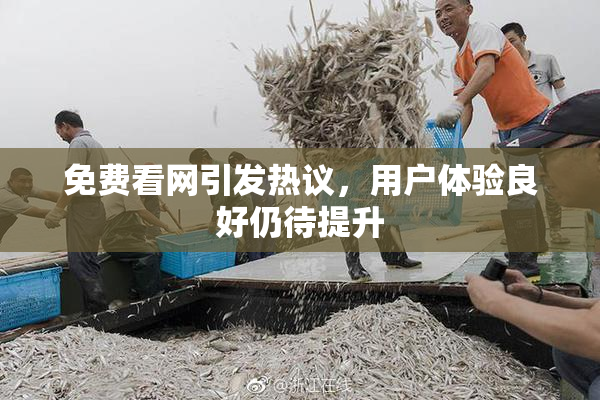 免费看网引发热议，用户体验良好仍待提升