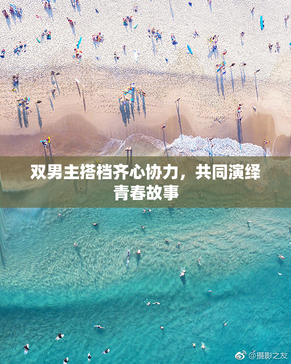 双男主搭档齐心协力，共同演绎青春故事