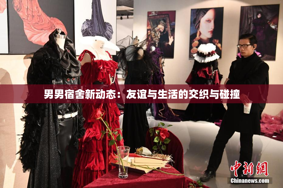 男男宿舍新动态：友谊与生活的交织与碰撞