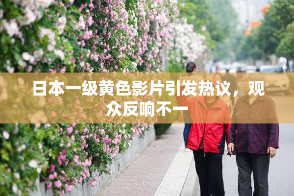 日本一级黄色影片引发热议，观众反响不一
