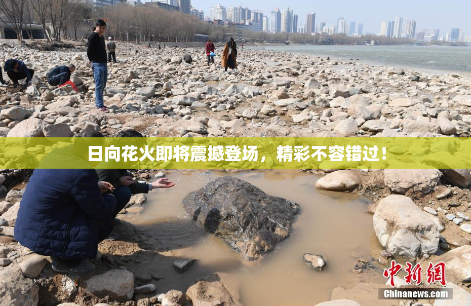 日向花火即将震撼登场，精彩不容错过！