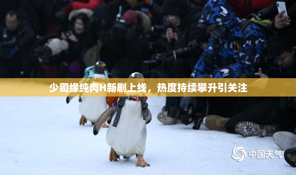 少司缘纯肉H新剧上线，热度持续攀升引关注