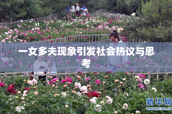 一女多夫现象引发社会热议与思考