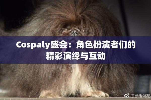 Cospaly盛会：角色扮演者们的精彩演绎与互动