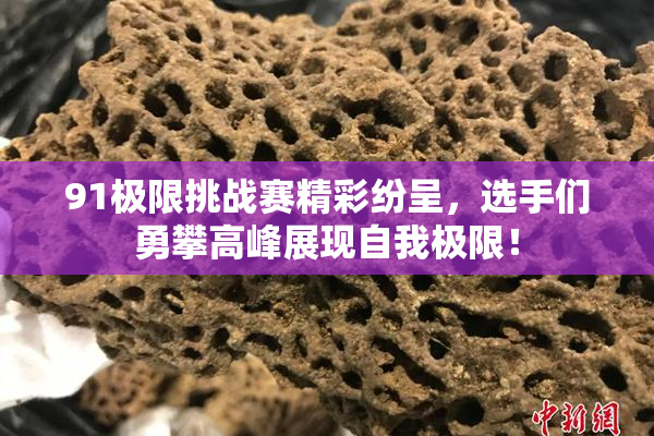 91极限挑战赛精彩纷呈，选手们勇攀高峰展现自我极限！