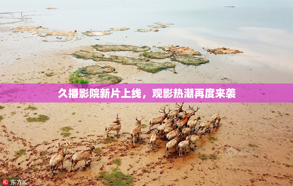 久播影院新片上线，观影热潮再度来袭