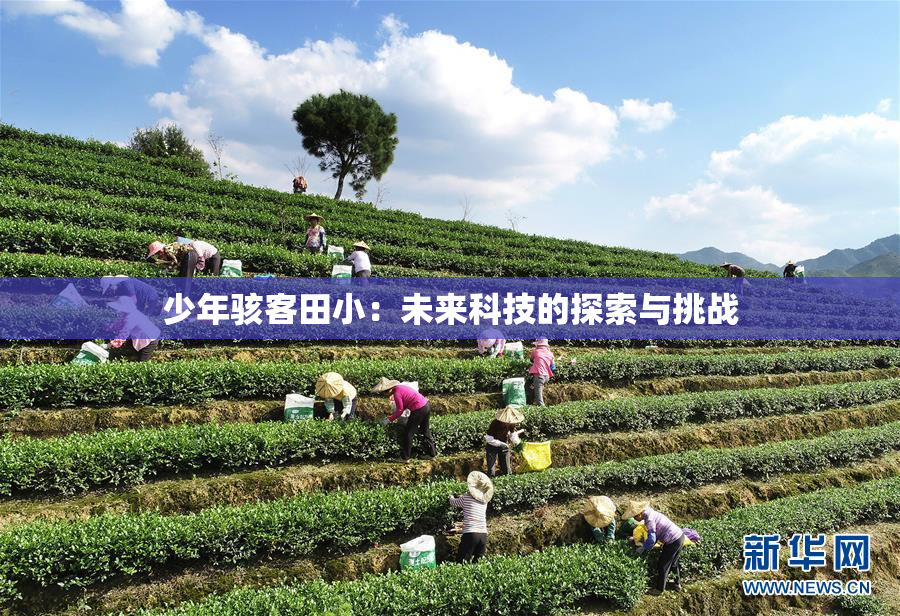 少年骇客田小：未来科技的探索与挑战