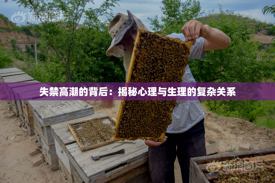 失禁高潮的背后：揭秘心理与生理的复杂关系