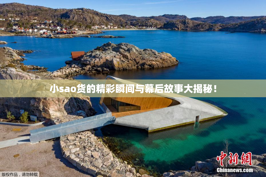 小sao货的精彩瞬间与幕后故事大揭秘！