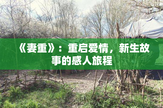 《妻重》：重启爱情，新生故事的感人旅程