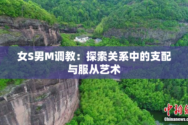 女S男M调教：探索关系中的支配与服从艺术