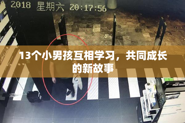13个小男孩互相学习，共同成长的新故事