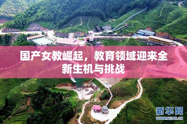 国产女教崛起，教育领域迎来全新生机与挑战