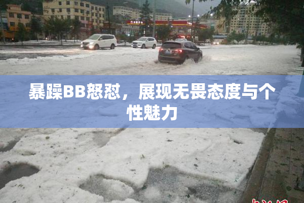 暴躁BB怒怼，展现无畏态度与个性魅力