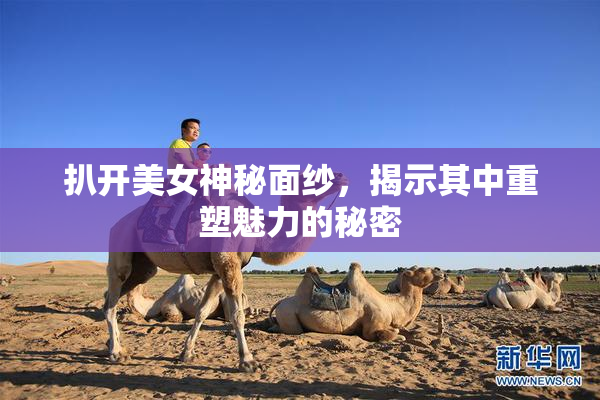扒开美女神秘面纱，揭示其中重塑魅力的秘密