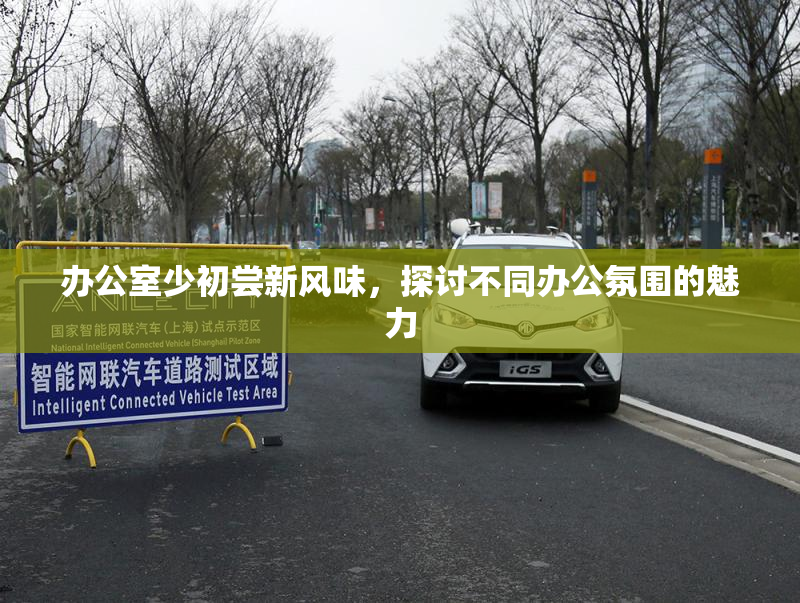 办公室少初尝新风味，探讨不同办公氛围的魅力