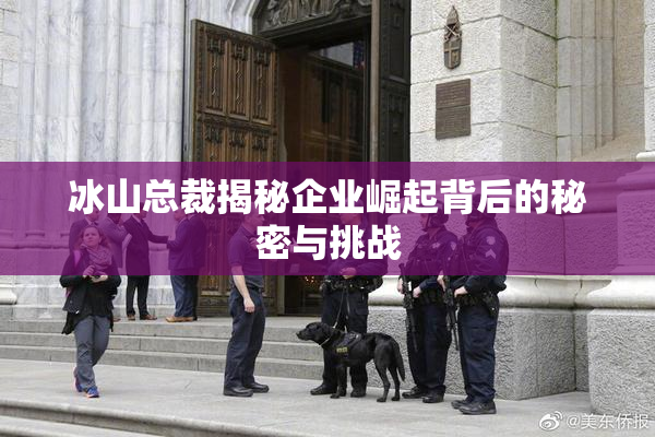 冰山总裁揭秘企业崛起背后的秘密与挑战