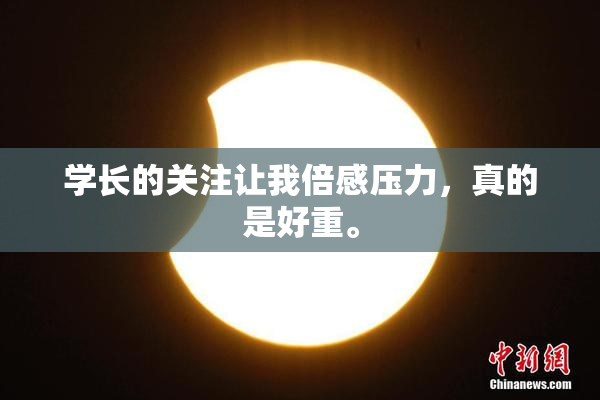 学长的关注让我倍感压力，真的是好重。