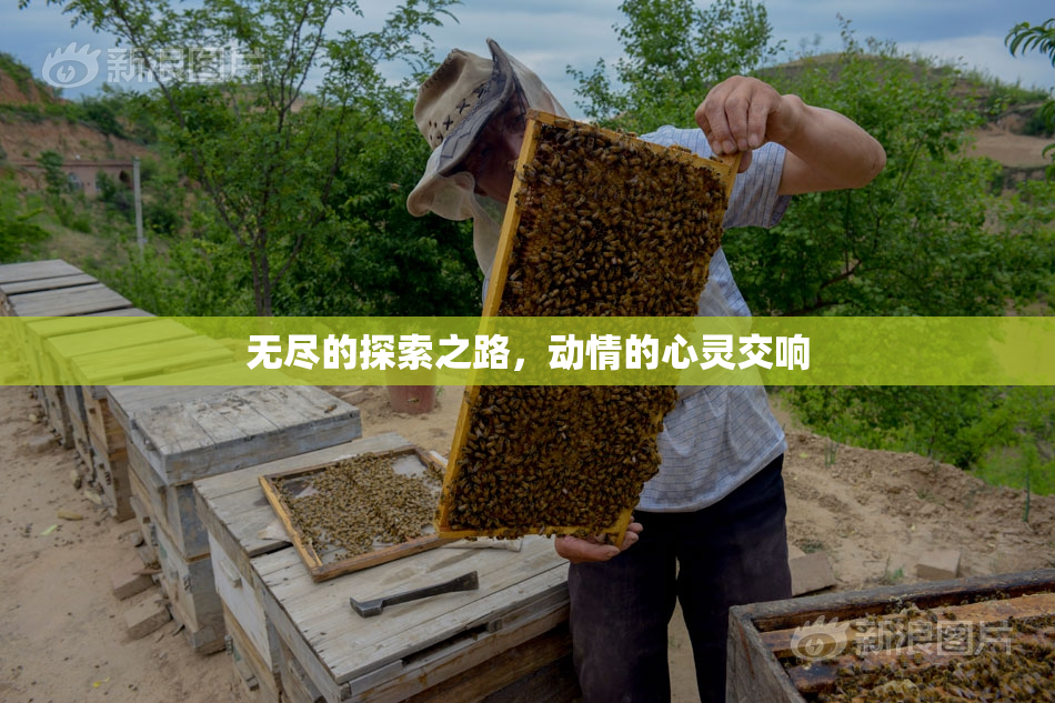 无尽的探索之路，动情的心灵交响