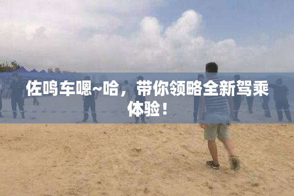 佐鸣车嗯~哈，带你领略全新驾乘体验！