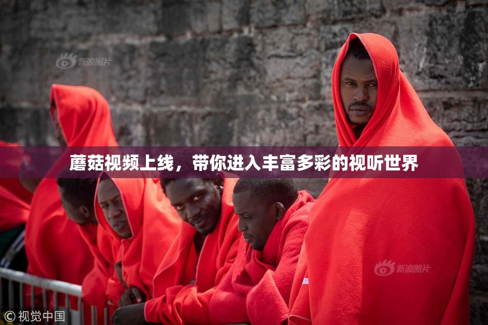 蘑菇视频上线，带你进入丰富多彩的视听世界