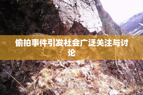 偷拍事件引发社会广泛关注与讨论